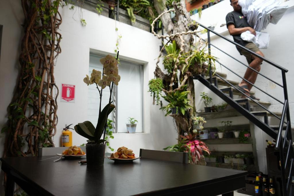 Gaston Coliving Hostel Medellín Kültér fotó